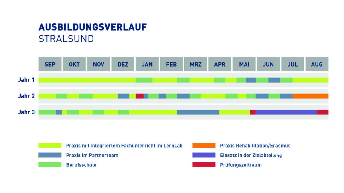 Tabelle die den Ausbildungsplan der Ausbildung Sozialversicherungsfachangestellter in Stralsund zeigt